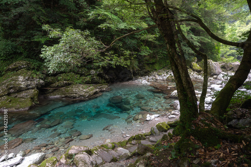Suishobuchi clear stream of Niyodo River in Yasui Valley in Summer, Kochi Prefecture, Shikoku, Japan
