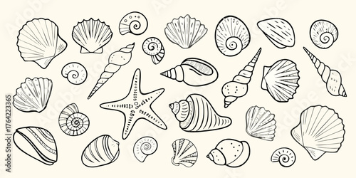 Collection of hand drawn seashells and starfish in outline style on a light background