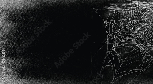 Spider web isolated on black grunge background. Cobweb frame. Halloween party. Texture of spider web. Halloween decoration. Gothic style Copy space