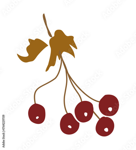 Autumn branch with five dark red berries and a brown leaf on white background. Clean modern botanical art with simple lines and solid colors. vector illustration isolated on white background