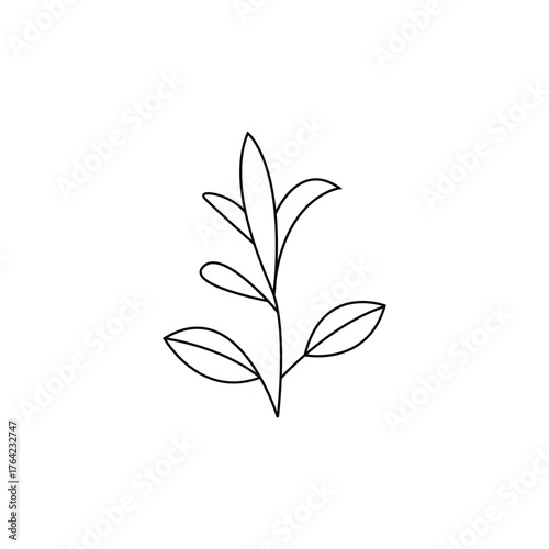 green leaves isolated on white