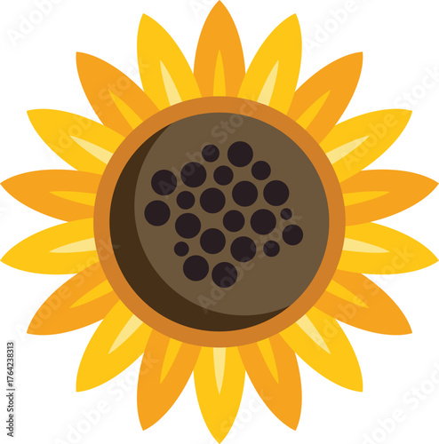 Beautiful sunflower with bright yellow petals and dark seeds, representing summer, nature, and growth