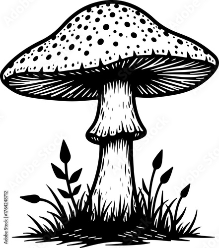 Wild Mushroom Forest Illustration”