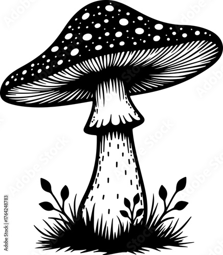 Wild Mushroom Forest Illustration”