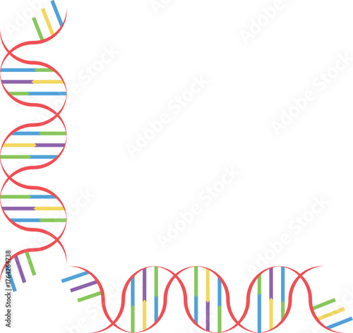 DNA　カラフル　　デザイン　イラスト