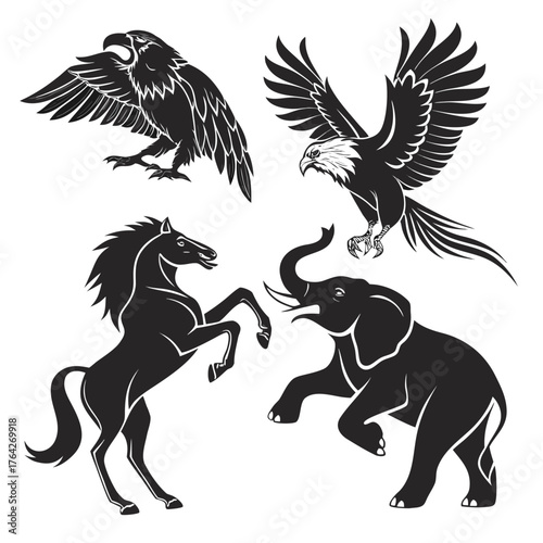 “Majestic Motion”