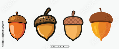 Four different acorns illustrated in a simple colorful cartoon style