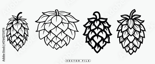 Detailed botanical illustration showcases four unique stylized hop flower designs