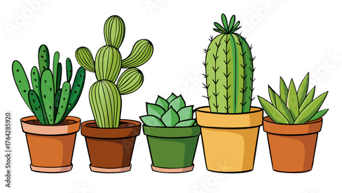 Group of various indoor cacti and succulent plants in pots