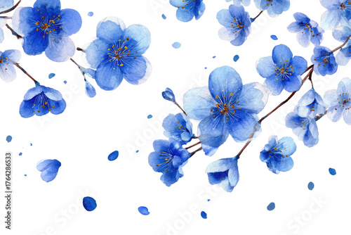 Delicate, light-blue blossoms and falling petals against a black background
