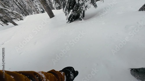 Snowboarding Powder Tree Run Slow Motion POV