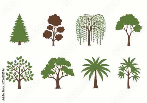 Diverse tree species set against white background
