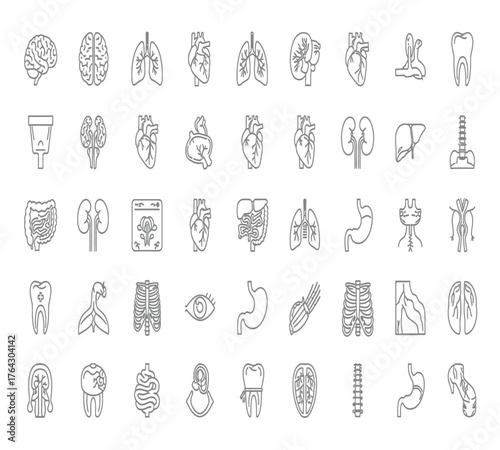Collection of human organs isolated on white background a comprehensive set of anatomical illustrations showcasing various vital organs in detailed line art style