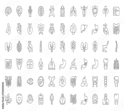 Collection of human organs isolated on white background a comprehensive set of anatomical illustrations showcasing various vital organs in detailed line art style