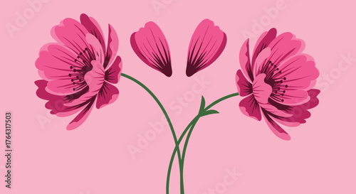 Pink flowers with petals on a pink background.