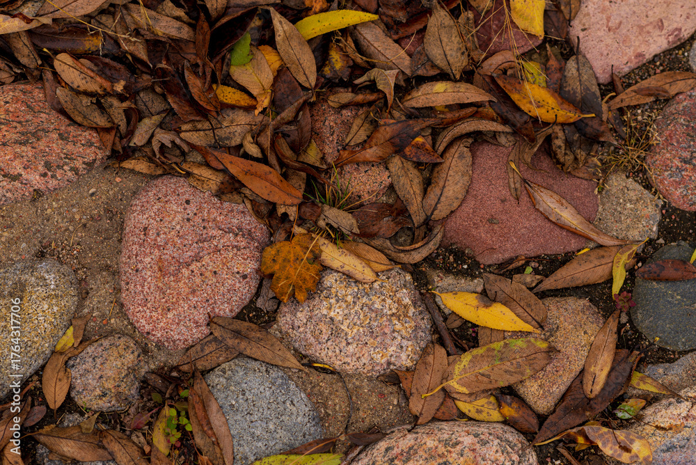Obraz premium An autumn park in October. Yellow and red trees with falling leaves.