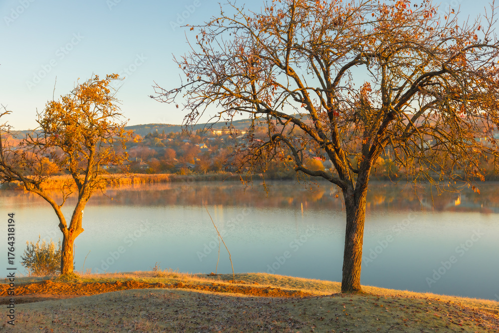 Obraz premium Magical autumn scenery in the Republic of Moldova, with golden forests and peaceful Eastern European charm
