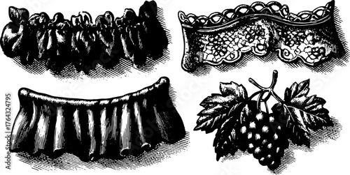 Engraving set of decorative elements with a vintage style. Detailed illustrations featuring lace and floral patterns in vector format.