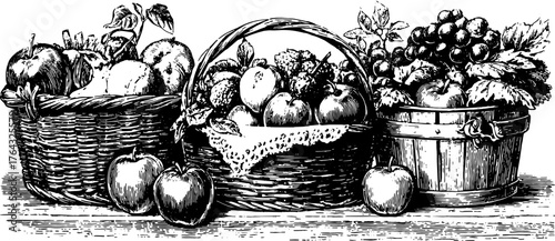 Vintage engraving of a basket filled with apples and grapes. A detailed black outline drawing in a retro style vector illustration.