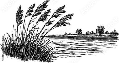 Grass and reeds by the water with trees in the background. Detailed vector illustration of a tranquil nature scene set in vintage style.