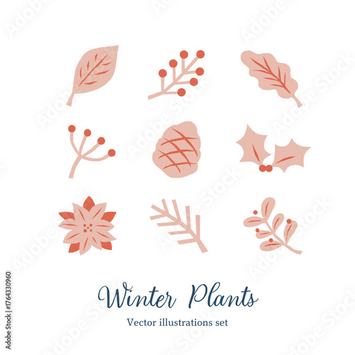 冬の植物セット