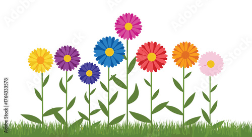 Colorful Daisy Flowers Blooming in a Lush Green Meadow Illustration for Spring Season, Representing Growth, Happiness, and Natural Beauty, Perfect for Educational Material and Children's Design Projec