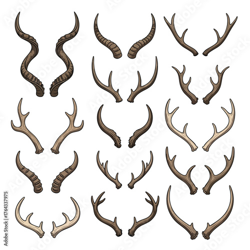 A diverse illustrated set of animal horns and antlers showing various shapes textures and colors from different species.