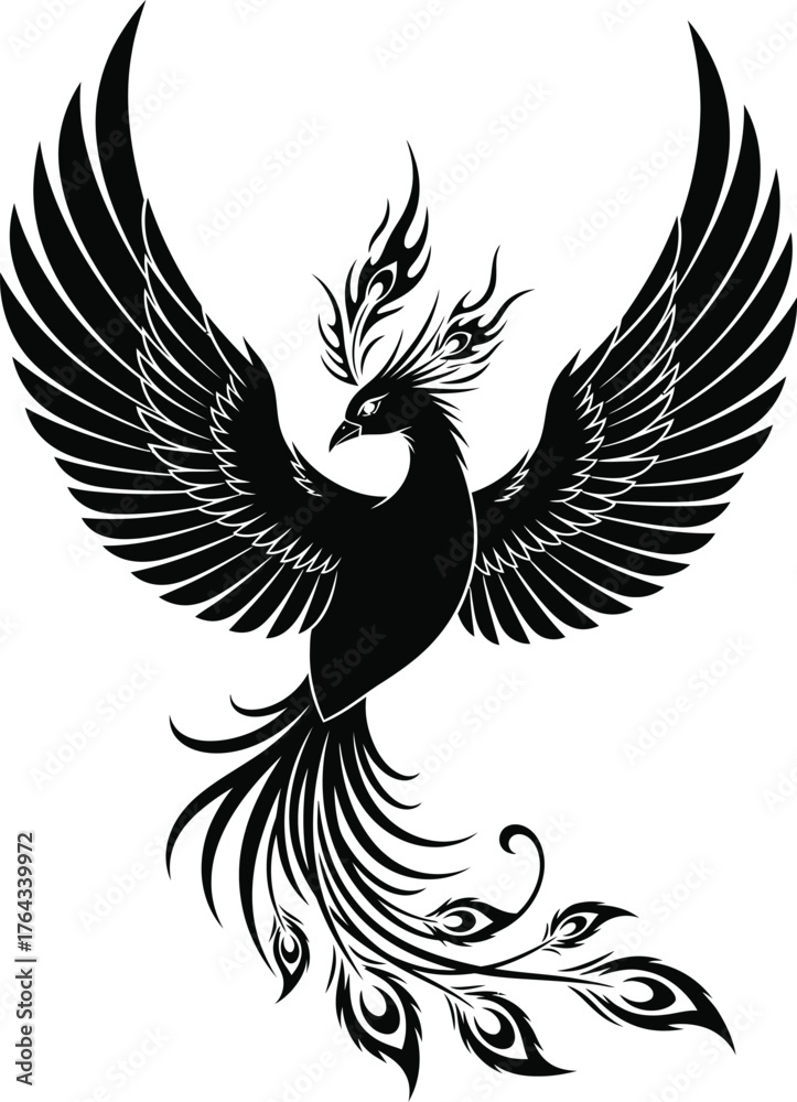 Fototapeta premium vector illustration of an phoenix black and white 