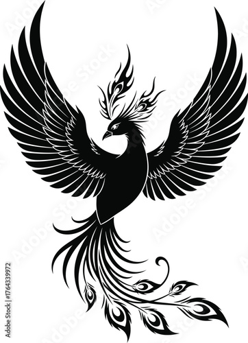 vector illustration of an phoenix black and white 