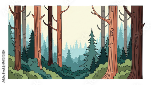 Peaceful forest scene with tall trees and lush green foliage