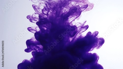 Vibrant Purple Ink Swirling and Dissolving in Clear Water.