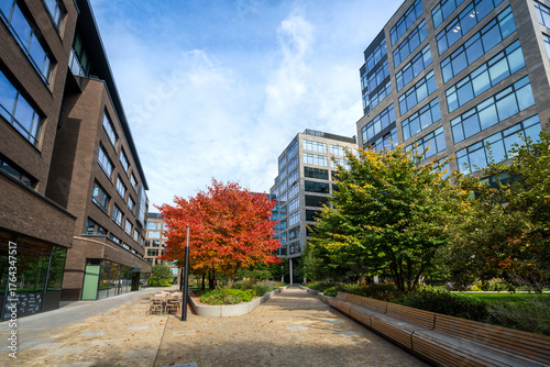 Modern office district in the city center. New glass high-rise buildings with a pedestrian walkway and a small park with trees in the business center.