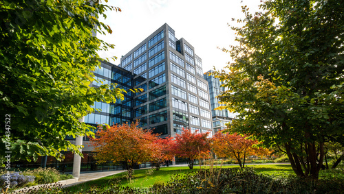 Fototapeta Naklejka Na Ścianę i Meble -  Modern office district in the city center. New glass high-rise buildings with a pedestrian walkway and a small park with trees in the business center.