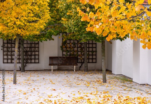 Canvas Print Bench under autumn linden trees (Tilia) in the baroque garden of Bratislava Castle, Slovakia, with fallen yellow leaves on the ground