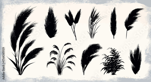 A curated selection of assorted ornamental grasses and free-spirited floral groupings exemplifying the allure of nature and complexity of texture perfect for digital design and botanical rendering
