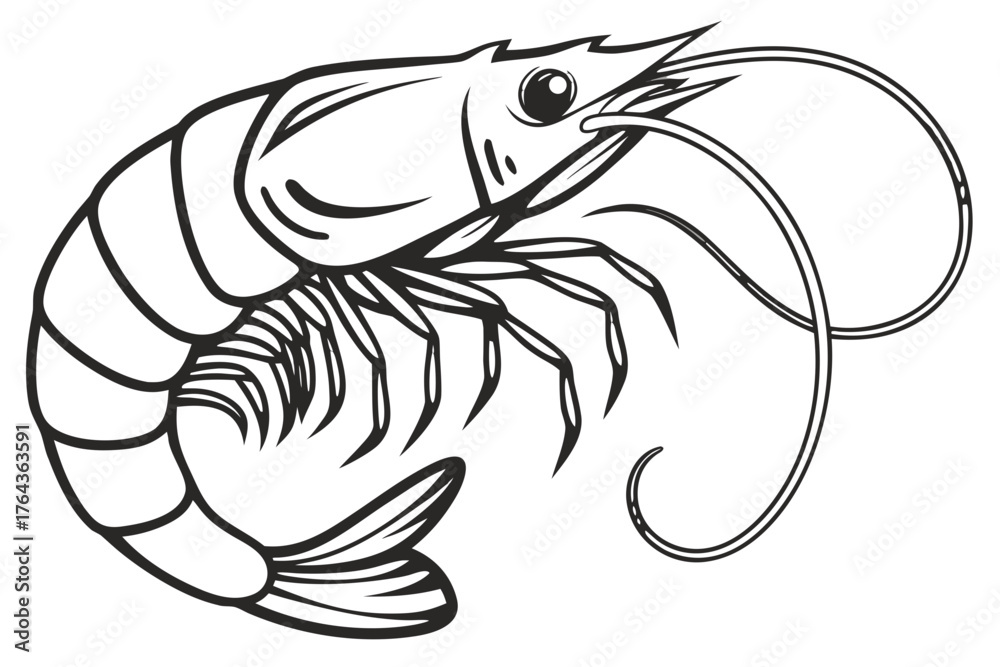 Naklejka premium Illustration of a shrimp, a crustacean with a segmented body, antennae, and legs, often found in marine and freshwater environments, known for its culinary uses