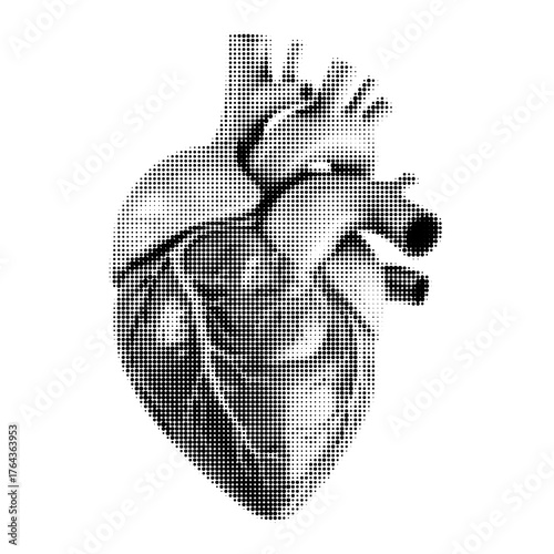 Halftone dotted illustration of a human heart. Abstract black and white medical concept symbolizing anatomy, emotion, life, and health.