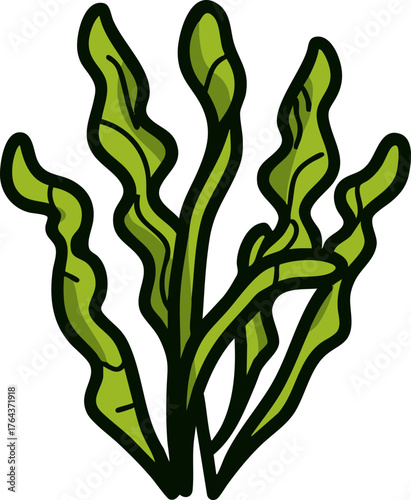Seaweed kelp botanical vector with wavy leaf for marine nature theme