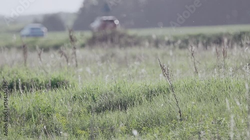 Green grass on the side of the road. A truck drives along the road. Slow motion.