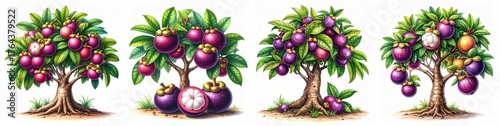 Mangosteen Tree handcrafted colored pencil illustration with radiant tones and fine detail.