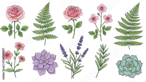 Watercolor floral illustration set of roses, lavender, and other flowers with leaves