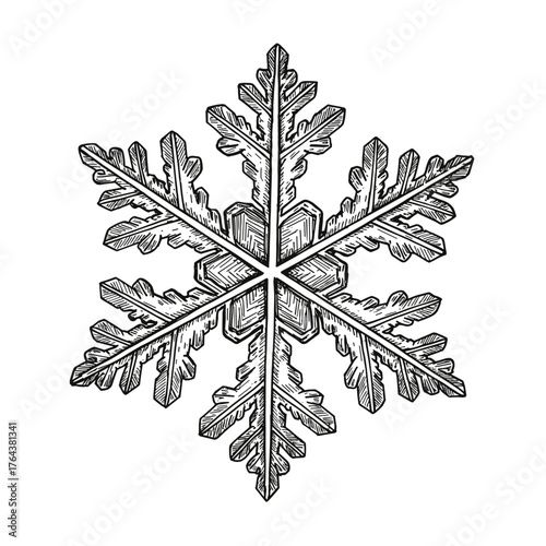 Detailed hand-drawn snowflake illustration with intricate patterns on transparent background