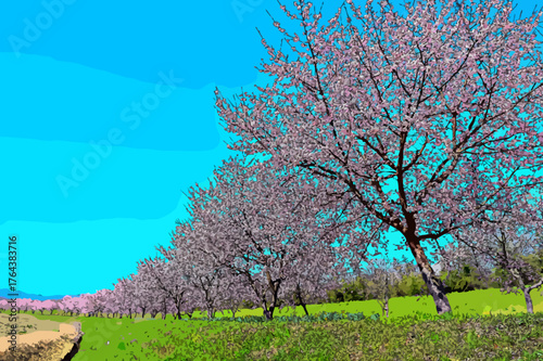 Bild auf Leinwand 桜と青空　安行寒桜　北浅羽桜堤　埼玉県坂戸市　別名　大寒桜　オオカンザクラ