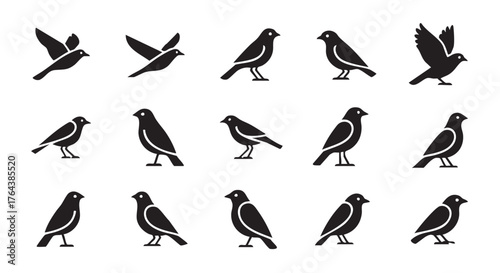 Set of black bird icons in different poses on white background