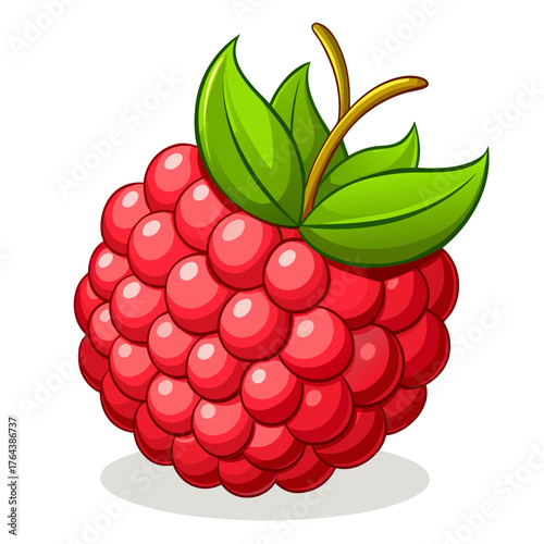 Cartoon illustration of a ripe raspberry with leaves