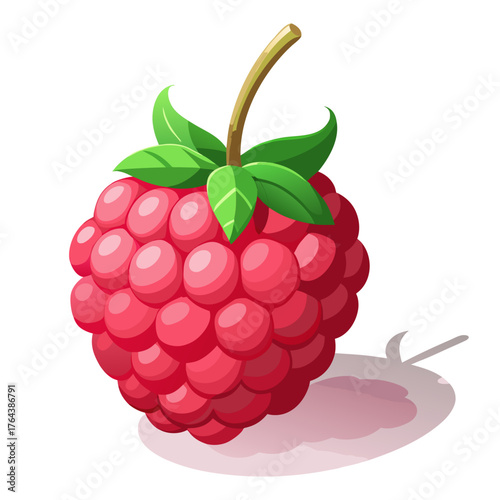 Cartoon illustration of a ripe raspberry with leaves