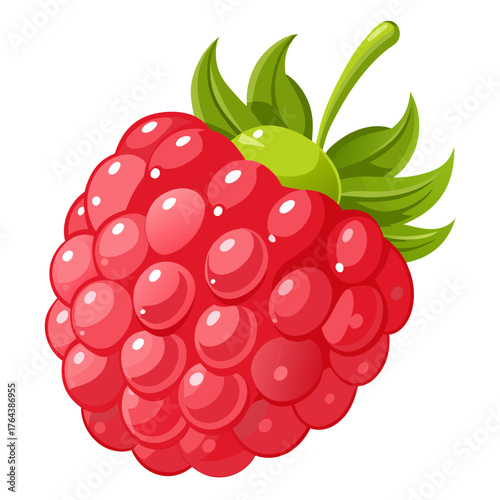 Closeup illustration of a ripe raspberry