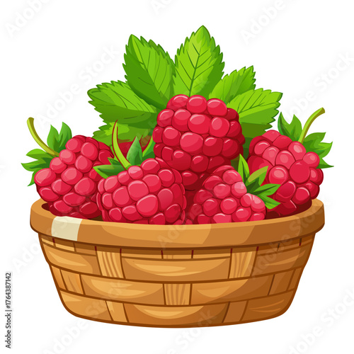 Basket full of fresh raspberries with leaves