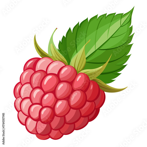 Illustration of a fresh raspberry with a leaf