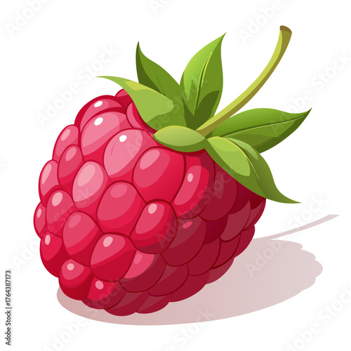 Illustration of a vibrant raspberry with leaves